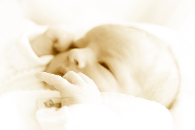Baby - Photo Evina Schmidova (3)