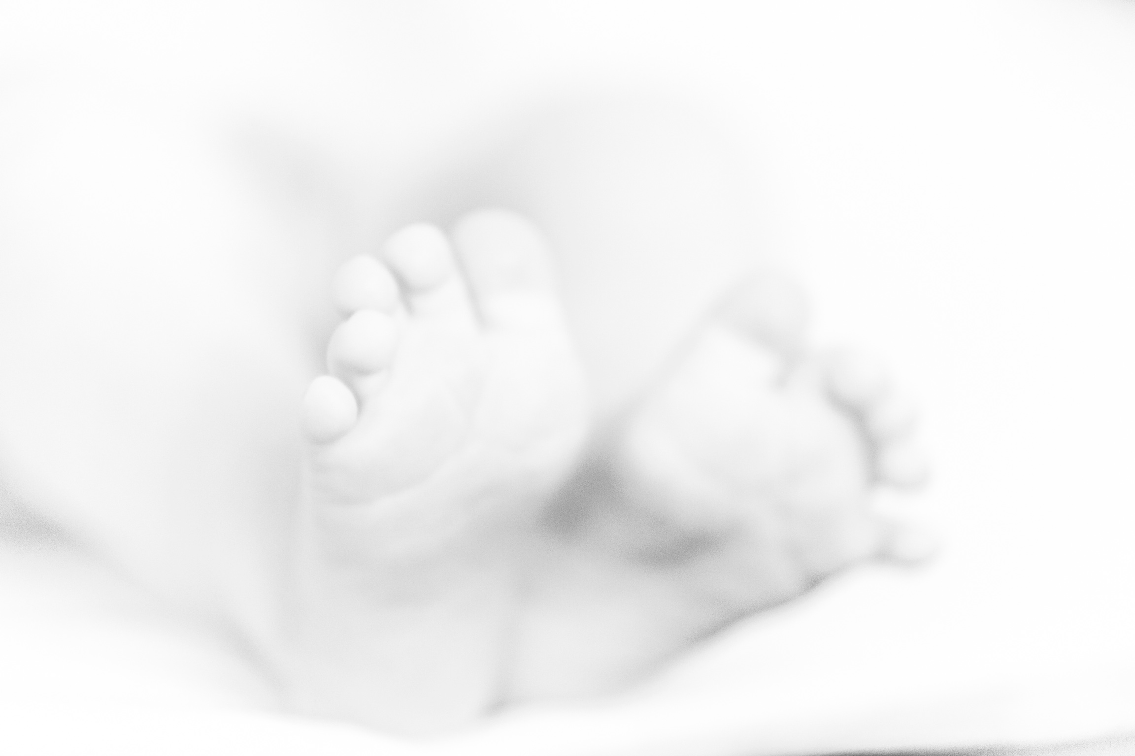 Baby - Photo Evina Schmidova (8)