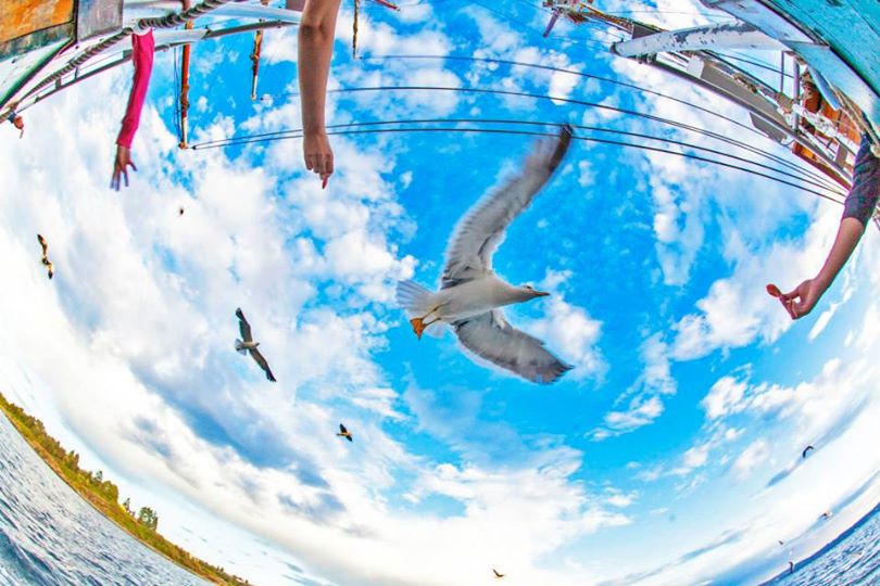 Birds - Photo Evina Schmidova (6)
