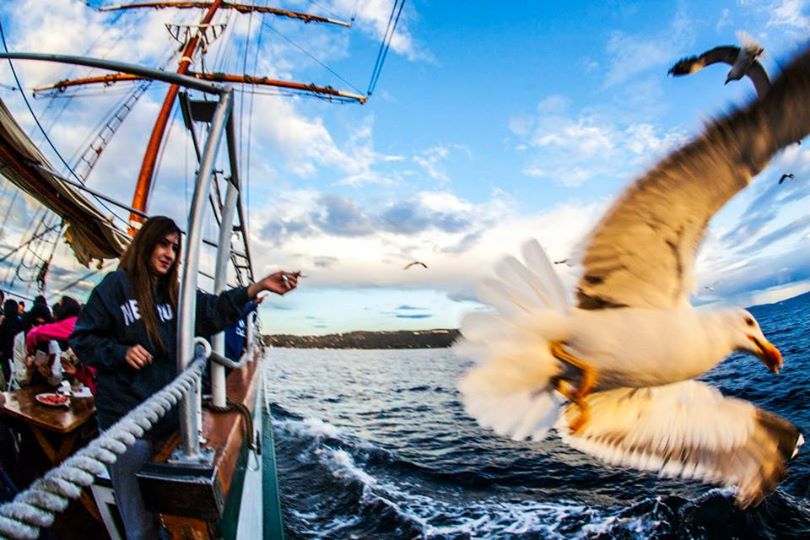 Birds - Photo Evina Schmidova (8)