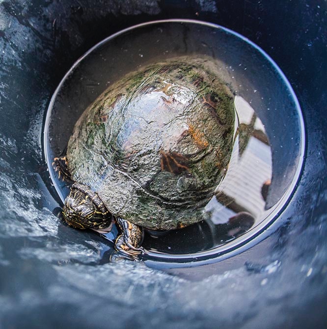 Fishing out - Photo Evina Schmidova (2)