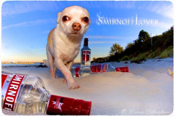 Smirnoff Lover - Photo Evina Schmidova (16)
