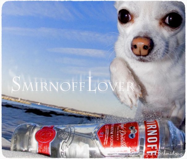 Smirnoff Lover - Photo Evina Schmidova (17)