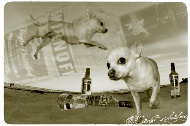 Smirnoff Lover - Photo Evina Schmidova (28)
